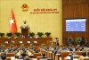 Kết quả kỳ họp bất thường lần thứ 9, Quốc hội khóa XV